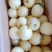 【精品】皇冠梨产地直发货源充足品种齐全欢迎实地考察