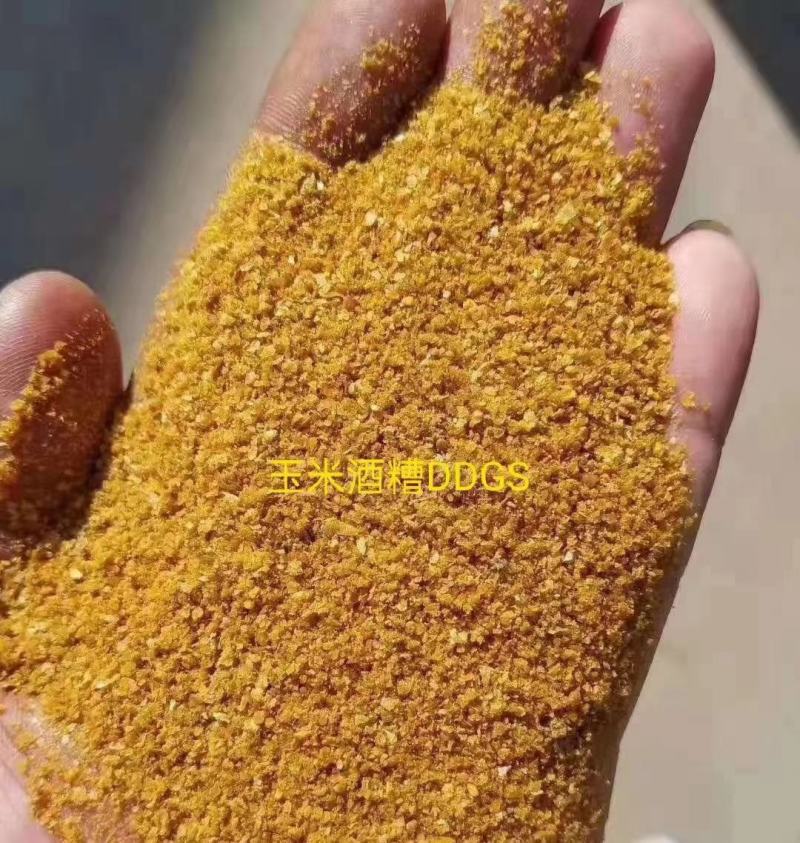 玉米胚芽饼，喷浆玉米皮，玉米酒糟，保证质量，量大从优