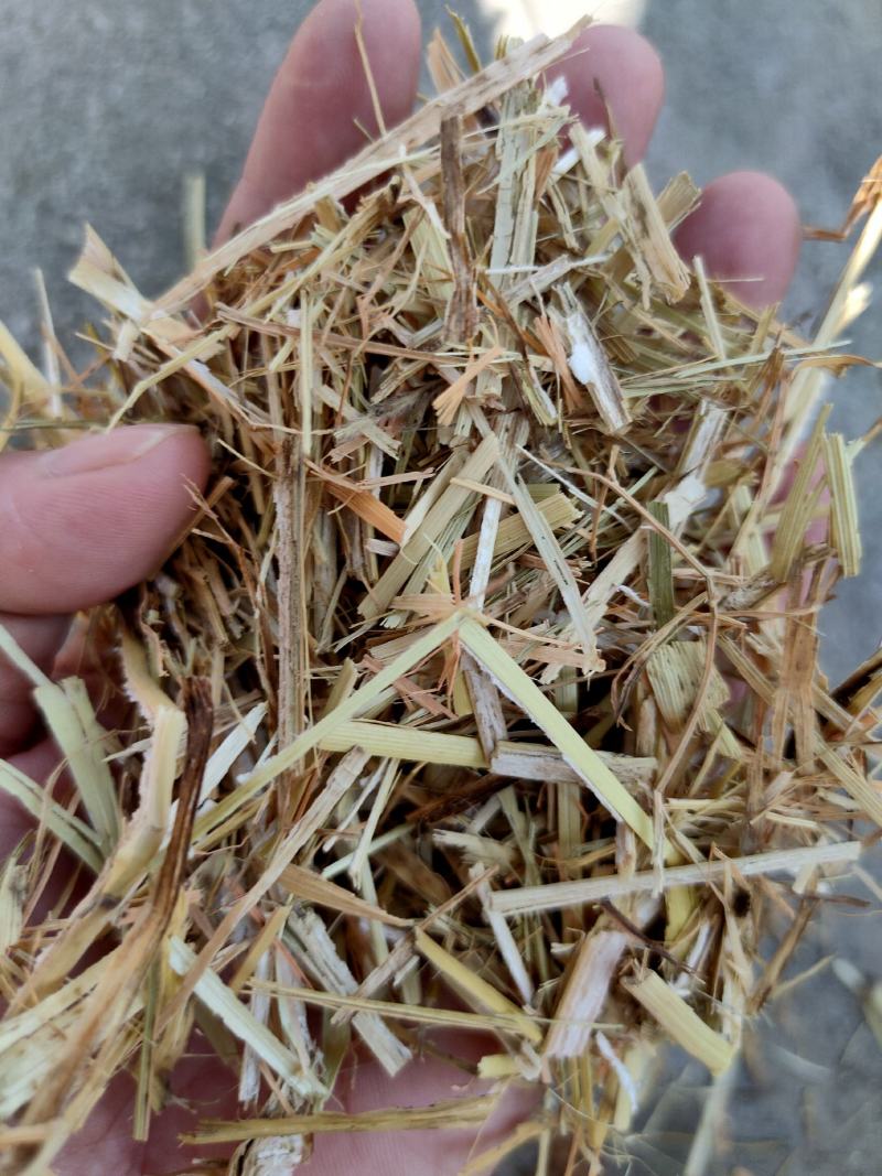 优质谷草，牛羊好牧草，干净无杂，常年有货，保质保量保吨位