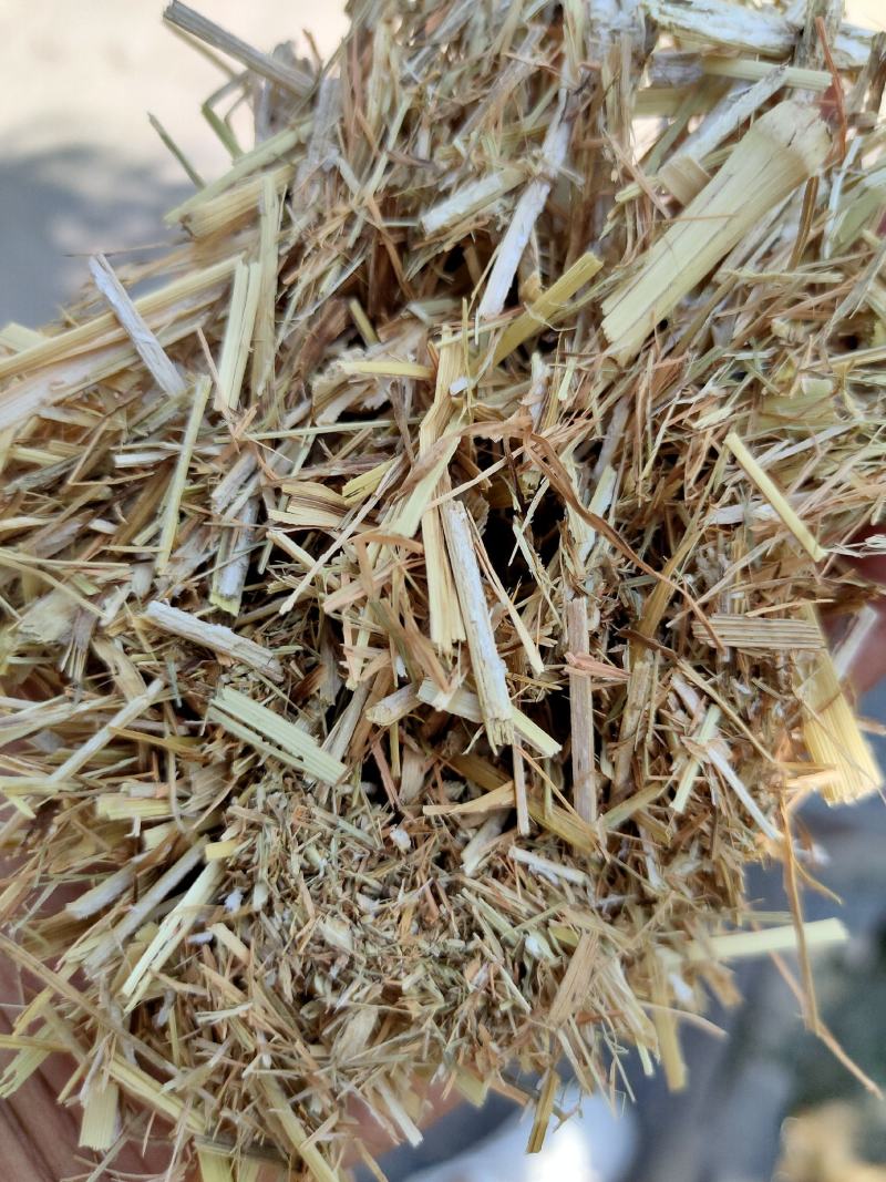 优质谷草，牛羊好牧草，干净无杂，常年有货，保质保量保吨位