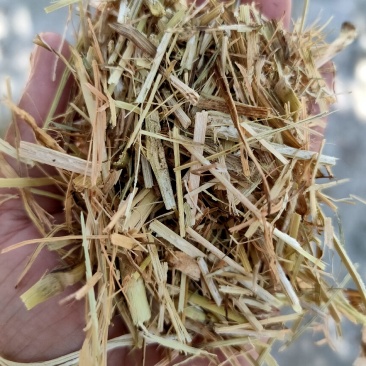 优质谷草，牛羊好牧草，干净无杂，常年有货，保质保量保吨位
