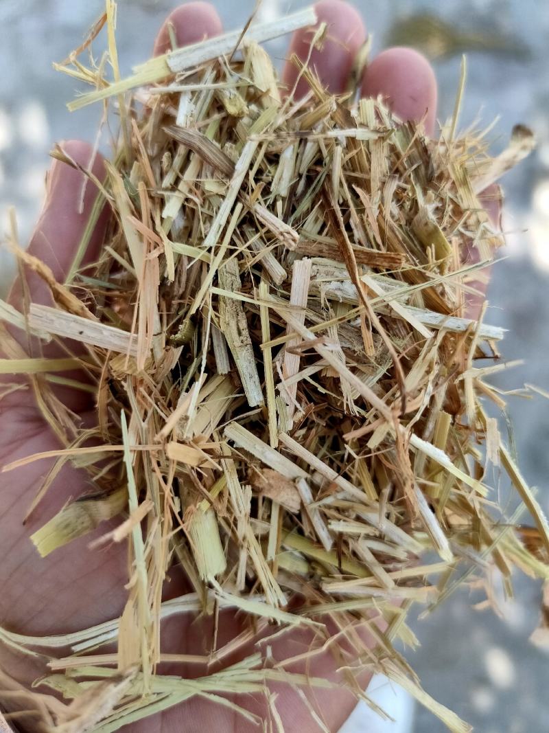 优质谷草，牛羊好牧草，干净无杂，常年有货，保质保量保吨位