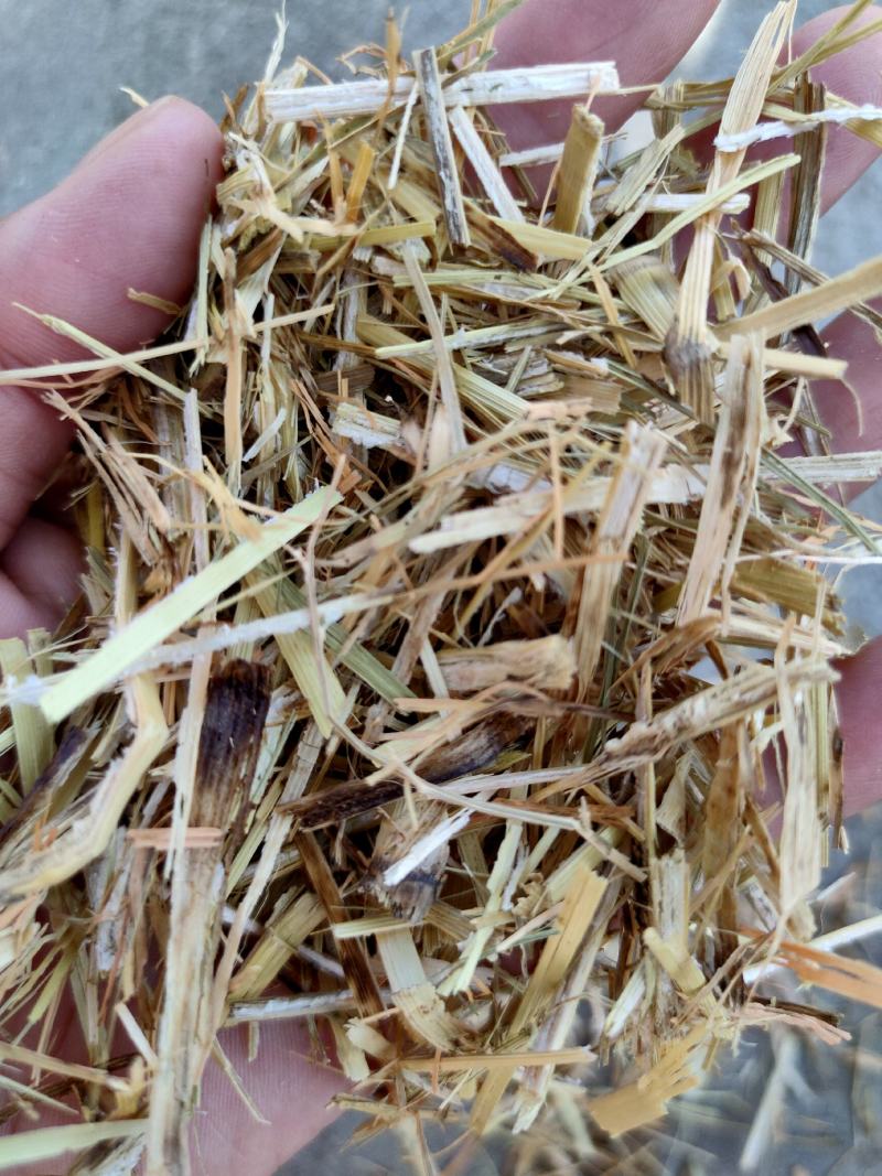 优质谷草，牛羊好牧草，干净无杂，常年有货，保质保量保吨位
