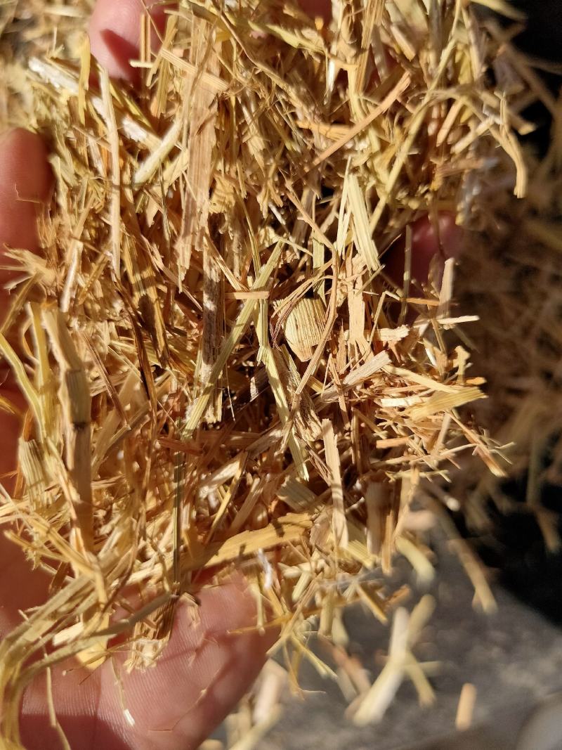 优质谷草，牛羊好牧草，干净无杂，常年有货，保质保量保吨位
