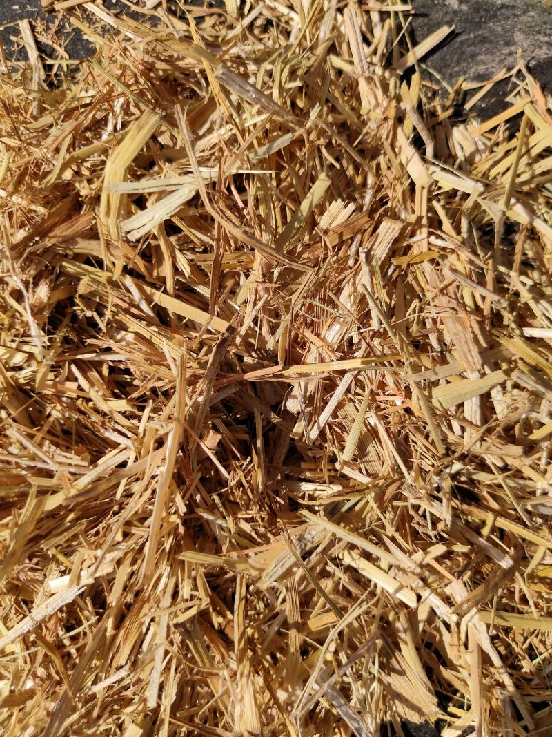 优质谷草，牛羊好牧草，干净无杂，常年有货，保质保量保吨位