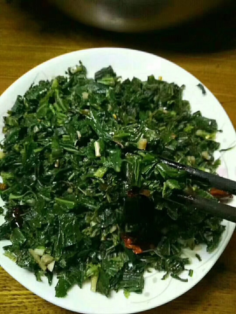 苦菜