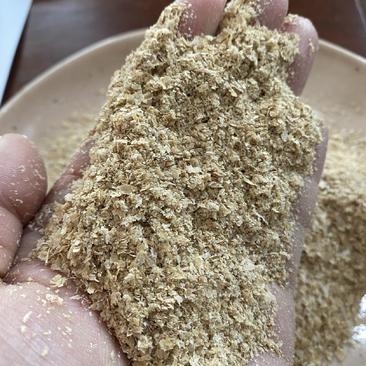 优质麦麸，麸皮小麦皮，新鲜麦麸烘干纯麦麸厂家直发饲料原料