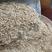 优质麦麸，麸皮小麦皮，新鲜麦麸烘干纯麦麸厂家直发饲料原料