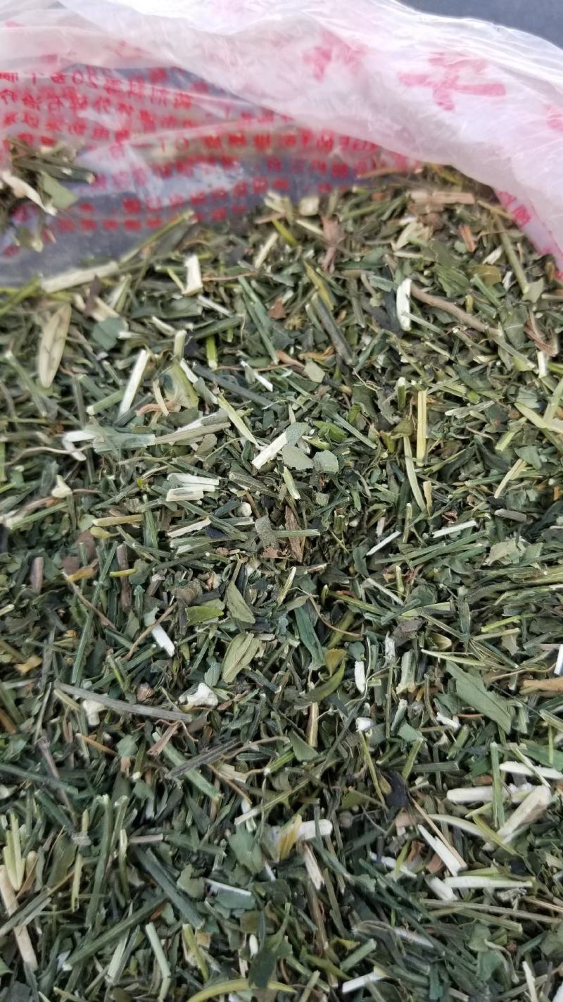 穿心莲