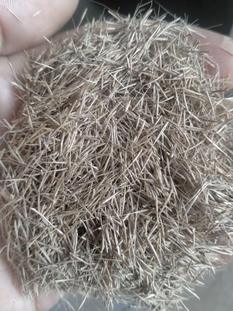 鼠茅草种子，鼠茅草，鼠茅草籽