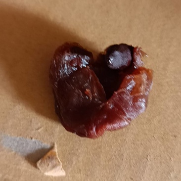 源头厂家批发产地优质桂味荔枝干