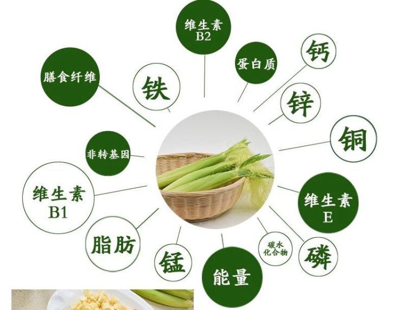 新鲜甜玉米笋小玉米芯仔新鲜蔬菜现摘迷你玉米笋水果玉米包邮