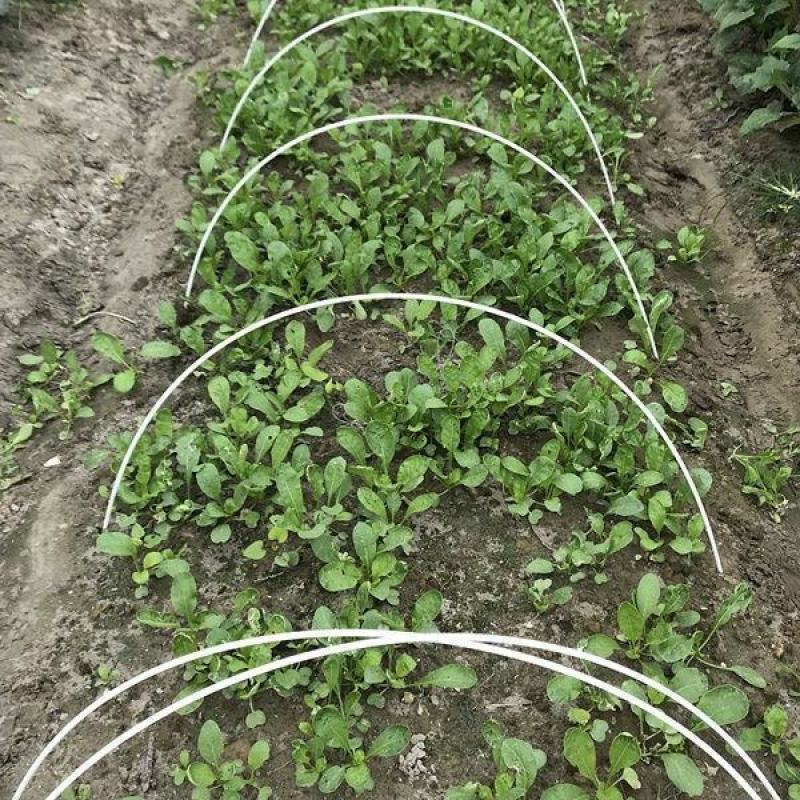 菜棚保温棚花棚拱玻纤杆农用小拱棚支架拱杆骨架玻璃钢弹力棒