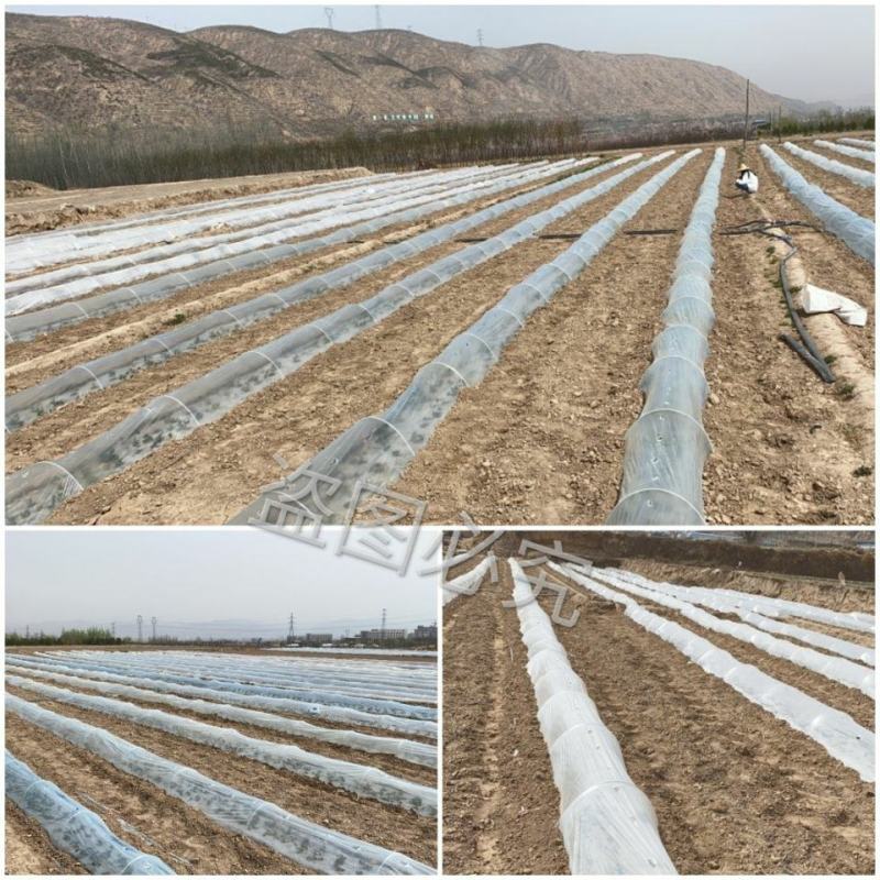 菜棚保温棚花棚拱玻纤杆农用小拱棚支架拱杆骨架玻璃钢弹力棒