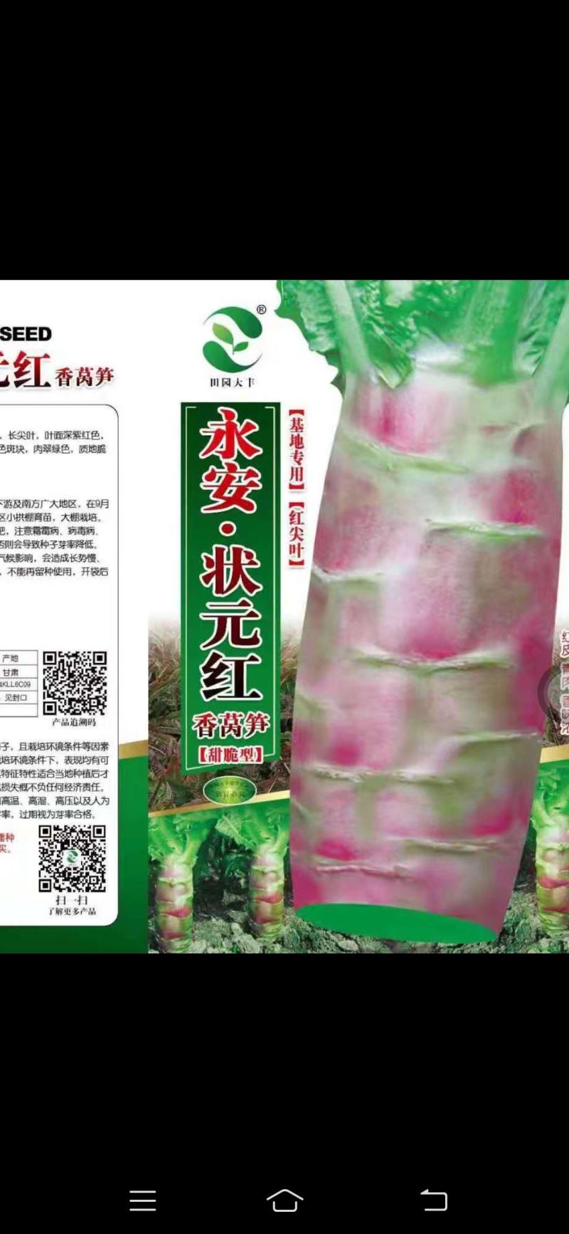 红皮莴笋，肉色特绿，香脆，尖叶莴笋。多年单株选育而成，