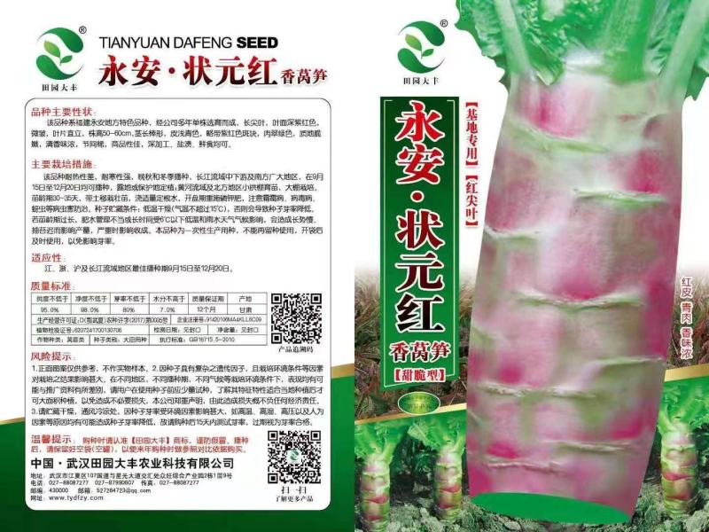 红皮莴笋，肉色特绿，香脆，尖叶莴笋。多年单株选育而成，