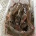 【新鲜大虾包邮顺丰】国产大虾鲜活特大对虾甜虾大海虾