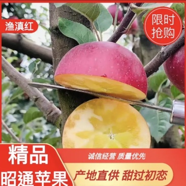 丑苹果【好货】云南昭通野生冰糖心一件代发，专业代办