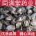 九香虫中药材大九香虫臭屁臭货真价实量大从优