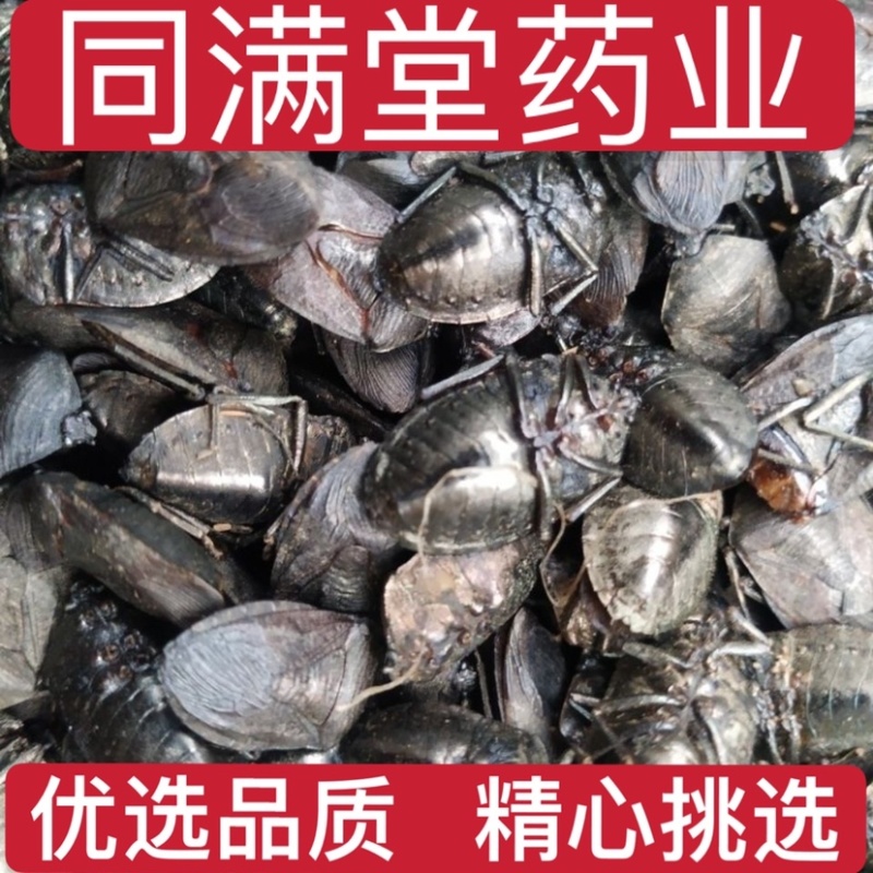 九香虫中药材大九香虫臭屁臭货真价实量大从优