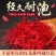 【特级】正品藏红花龙头凤尾批发零售5克10克50克