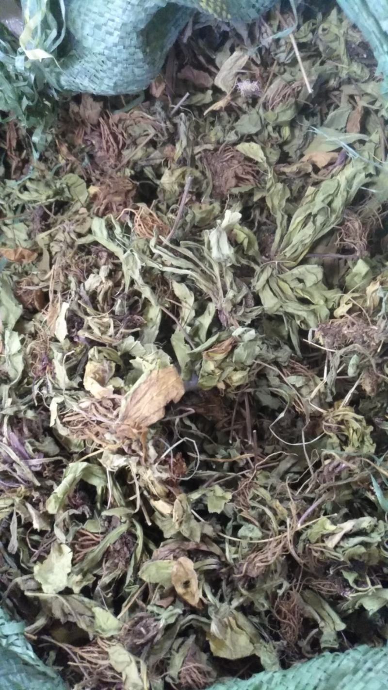 云南无硫野生灯盏花灯盏细辛云南天然植物云南特产