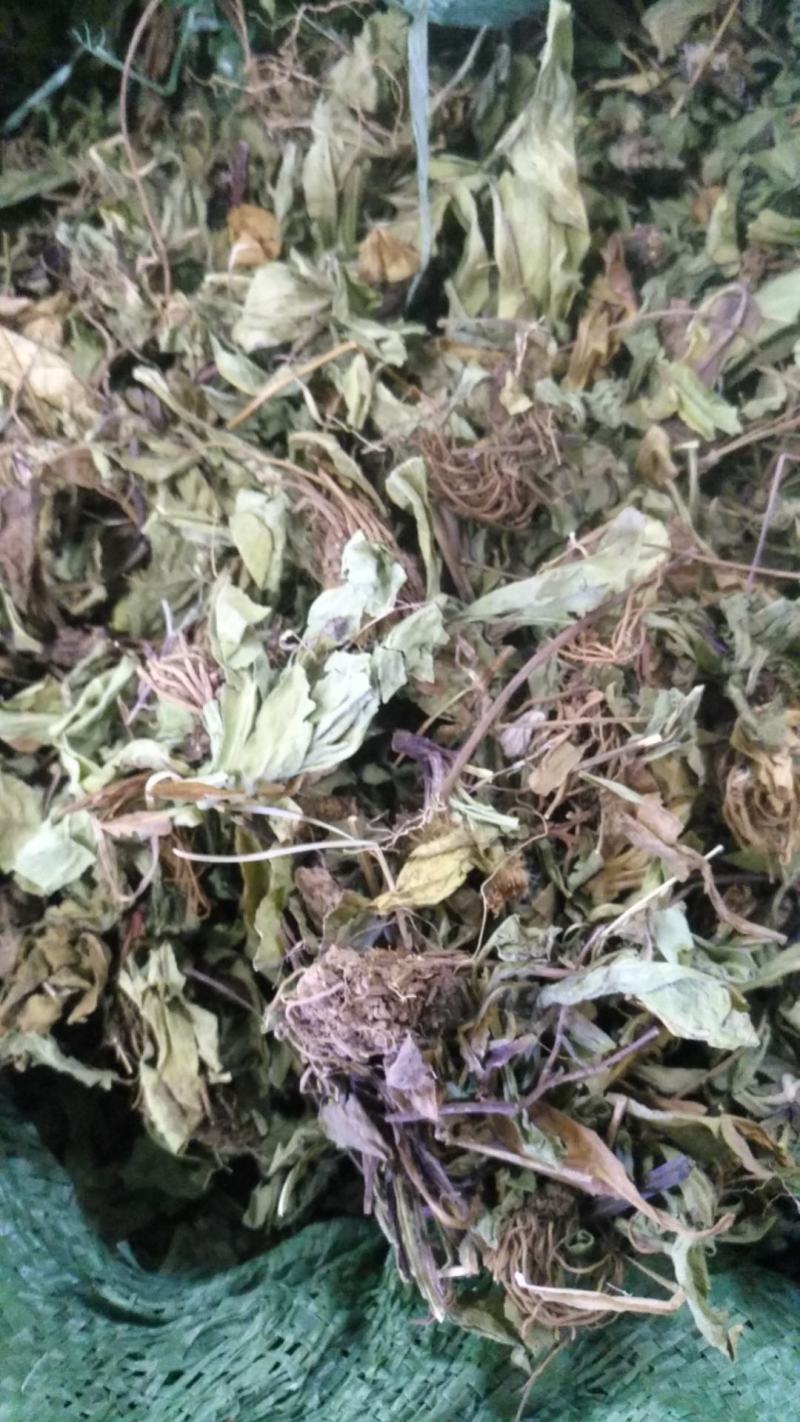 云南无硫野生灯盏花灯盏细辛云南天然植物云南特产