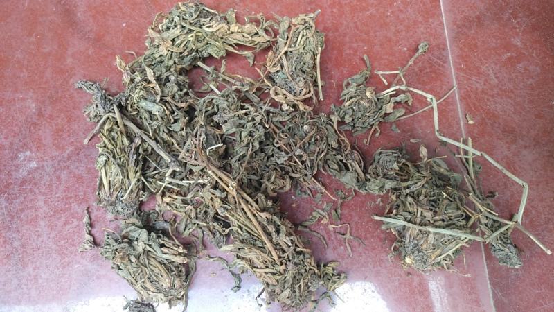 云南无硫野生灯盏花灯盏细辛云南天然植物云南特产