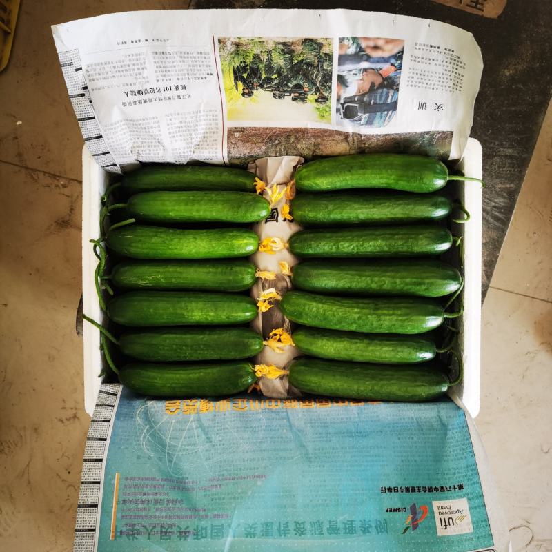 小黄瓜