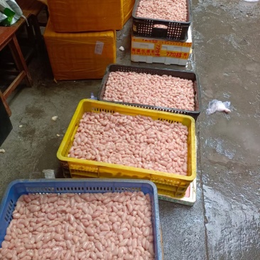新鲜鸡腰子