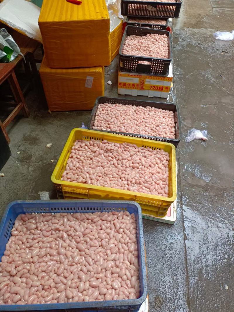 新鲜鸡腰子