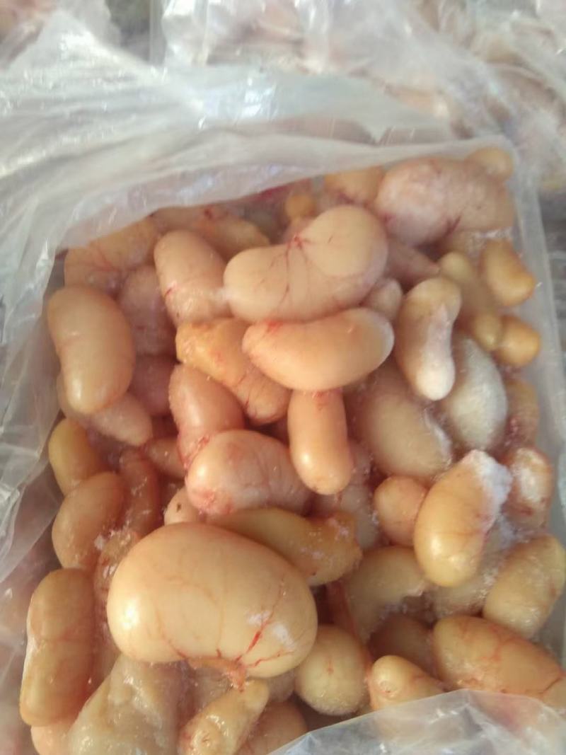 鸡腰子