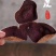川贝老陈皮可即食可泡水价宜