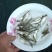 武昌鱼苗淡水鳊鱼苗活体三角鲂鱼团头鲂鱼三角边鱼沙边鱼养殖