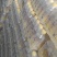 柠檬苏打12瓶350ml社区团购电商引流