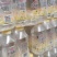柠檬苏打12瓶350ml社区团购电商引流