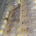 柠檬苏打12瓶350ml社区团购电商引流