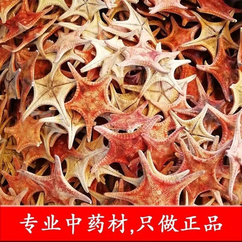 新货干海星海星海五星海盘车海星干货滋补煲汤泡酒