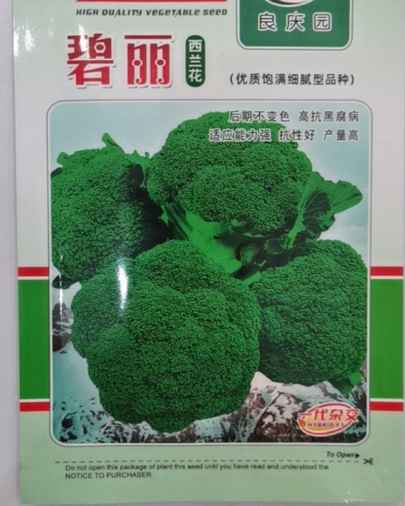 碧丽西兰花优质饱满细腻型品种，后期不变色，高抗黑腐病软腐