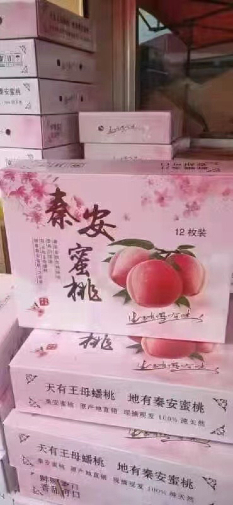 北京7号