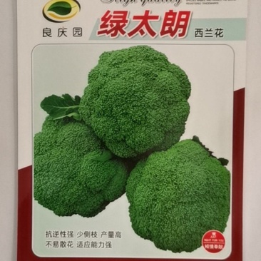 绿太郎西兰花，抗逆性强，少侧枝，产量高，不易散花，适应强