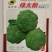 绿太郎西兰花，抗逆性强，少侧枝，产量高，不易散花，适应强
