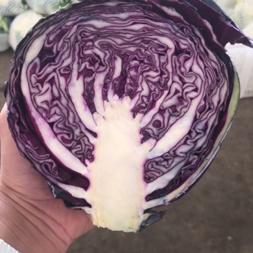 紫甘蓝有货，需要的联系