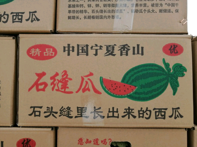 宁夏硒砂瓜宁夏石头缝瓜大量上市包熟包甜可视频验货