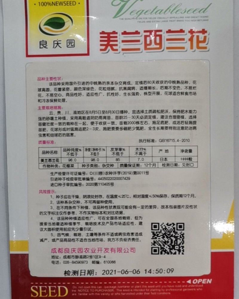 美兰西兰花适应能力强，产量高，后期不变色，高抗黑腐病