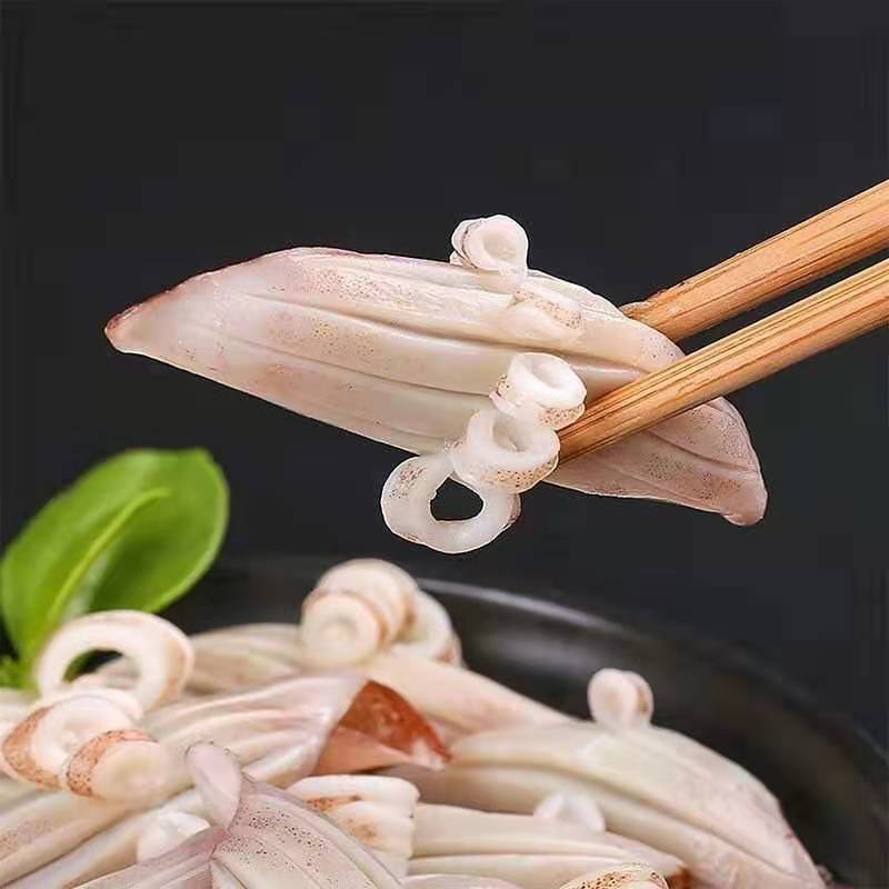 软体类牛角花鱿鱼耳鱿鱼花