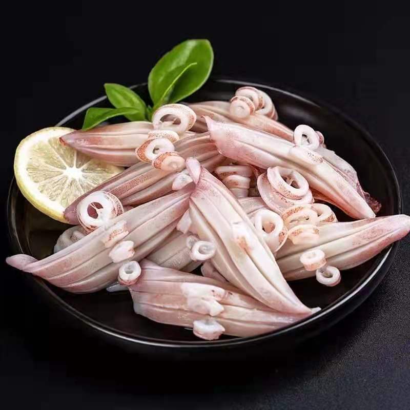 软体类牛角花鱿鱼耳鱿鱼花