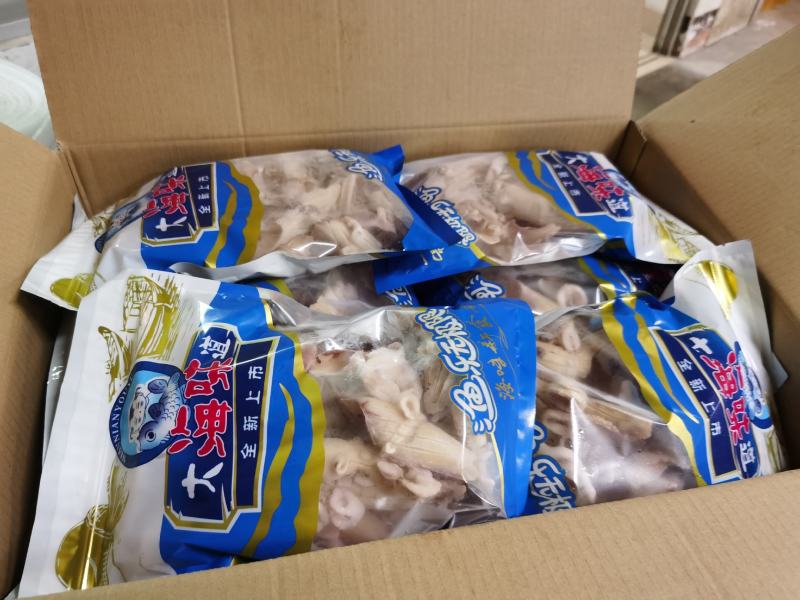 软体类牛角花鱿鱼耳鱿鱼花