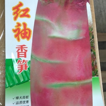 红袖莴笋种，叶红杆红肉绿有青香味，耐抽苔产量高，