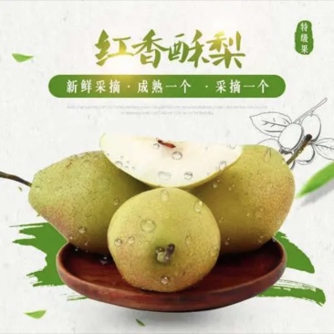 红香酥梨